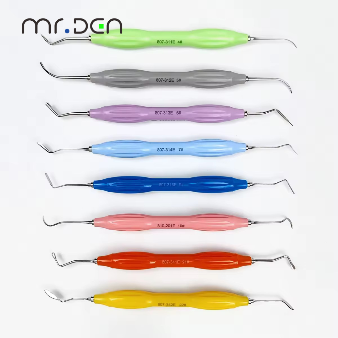 MR DEN-Juego de relleno de res - Silicone Spatula Set reseña y precio