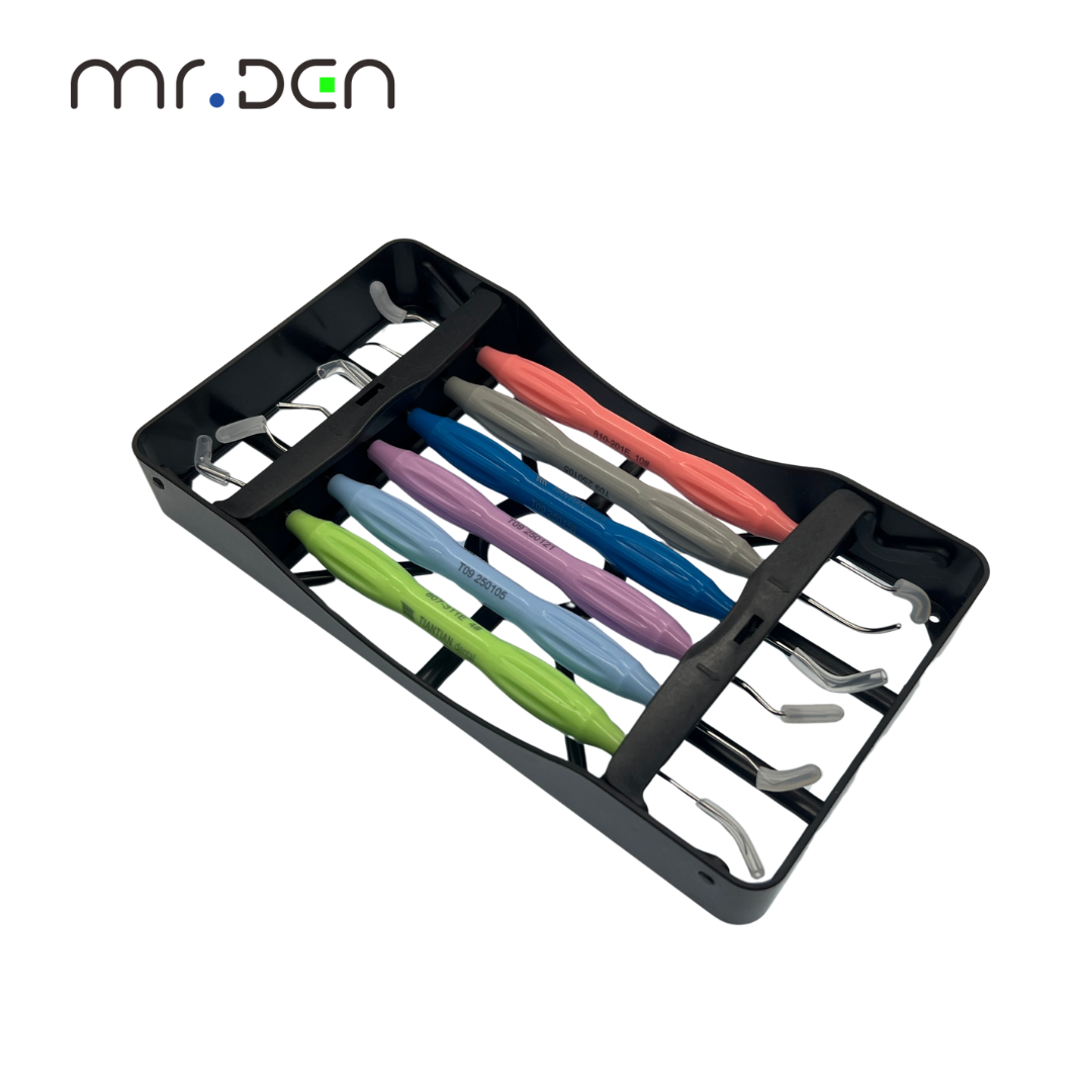 MR DEN-Juego de relleno de res - Silicone Spatula Set reseña y precio